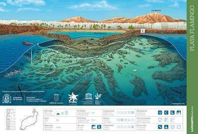 Cartes de plongée à Lanzarote