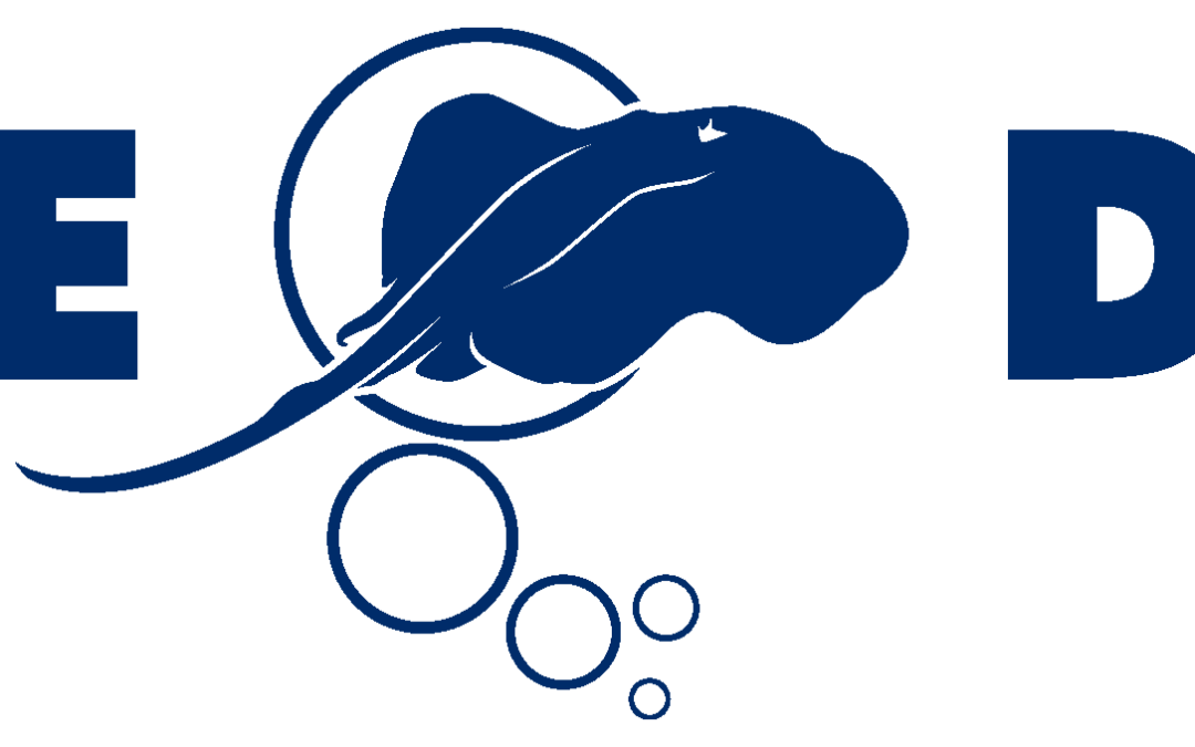 logo-native-diving