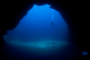 Padi advanced Open water Diver