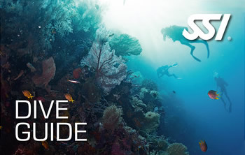 Dive guide