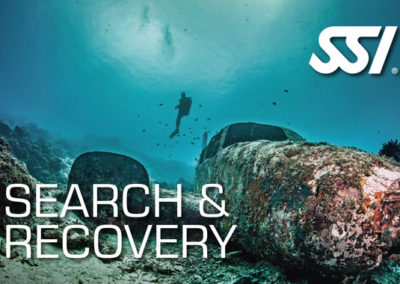 Search & recovery