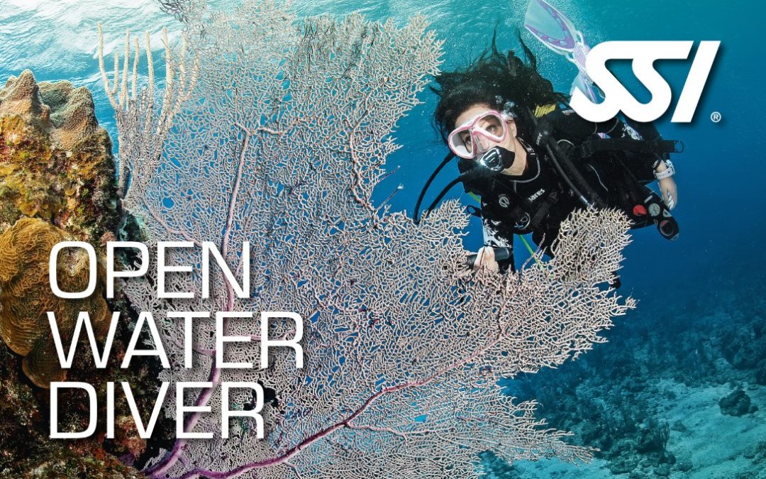 Open water diver SSI