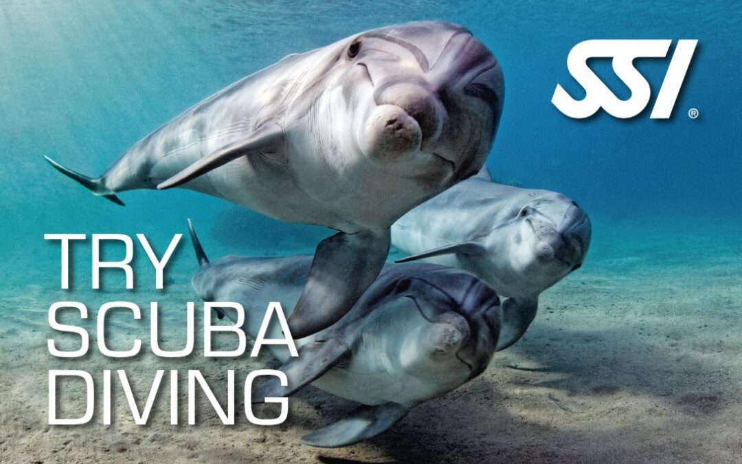 Try scuba diving SSI