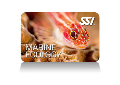 Ecologia marina