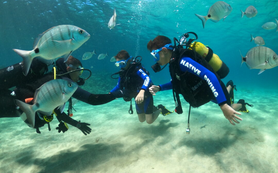 Try Scuba Diving in Lanzarote: Your First Great Underwater Adventure