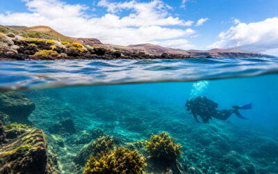 ¿Es buena época para bucear en Lanzarote en primavera? Condiciones del mar, temperatura y visibilidad