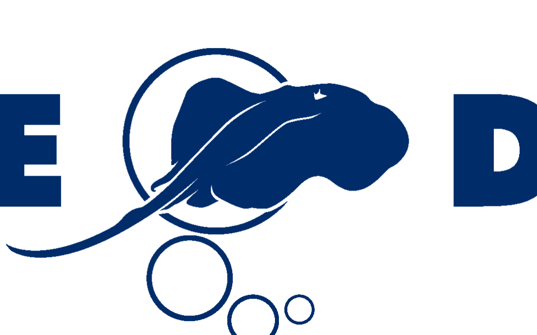 logo-native-diving